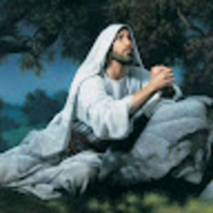 Meet your Posher, Sparky